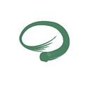 Developmental Learning Solutions logo