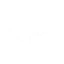 Frame & Focus Eye Care logo
