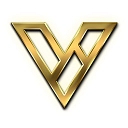 Vision Mortgage Group logo
