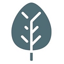 Element Primary Care logo