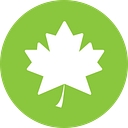 Divine Home Care Services logo