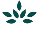 Worldview International Foundation logo
