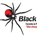 Black Widow Termite & Pest Control Corp. logo