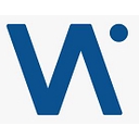 Visionary Vogues logo