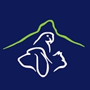 Kings Vets logo