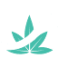 Cannabis Essentials logo