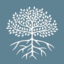 NoVo Foundation logo