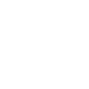 The Adventurous Entrepreneur logo