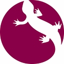 EXPERTIR logo
