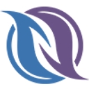 N-FLUX logo