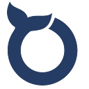 Orca Payments logo