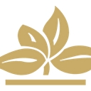 Village on the Park (villageontheparkplano) logo