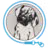 peeva.co favicon