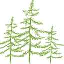 David's Flooring of Seattle logo