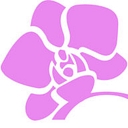 IBuyOrchids logo