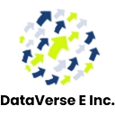DataVersee Inc. logo