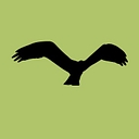 pandionai.com favicon