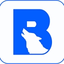 BlueWolf Security logo