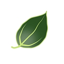 DeepForest Technologies logo