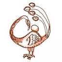 Chordata Capital logo