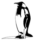 Elegant Penguin logo