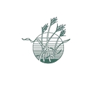 Ypsilanti Food Co-Op logo