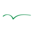 WSG Reporting logo