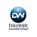 Data Wide logo
