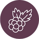 Blackberry logo