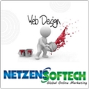 NetZens logo