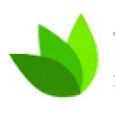 Wiztelsys logo