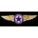 Texas Pilots logo