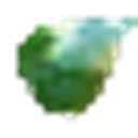 Supergreen Landscape logo