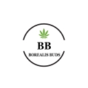 Borealis Buds logo