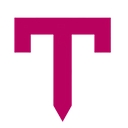 Tiger King Coin logo