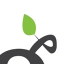 Spring Story logo