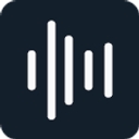 Revoize logo
