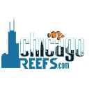 Chicago Reefs logo