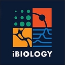 iBiology logo