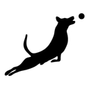 Fetch Daycare and Overnight logo