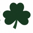 New York S. Storage logo