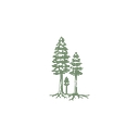 Lucy F. Chen logo