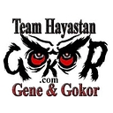 Hayastan MMA Academy logo
