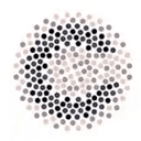 Culture Plus Consulting logo