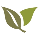 Capital Insight Partners logo