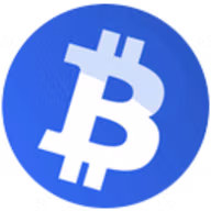 BitVPS logo