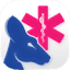 BluRoo EMS Companion logo