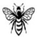 Flower Hour logo