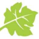 VinSense logo