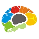 BiggerBrains logo